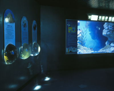 其他.韩国摄影师作品合集.Kim Shinwook.AQUARIUM_2006_–_SHINWOOKKIM的摄影作品-10003