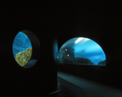 其他.韩国摄影师作品合集.Kim Shinwook.AQUARIUM_2006_–_SHINWOOKKIM的摄影作品-10004