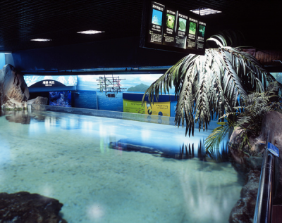 其他.韩国摄影师作品合集.Kim Shinwook.AQUARIUM_2006_–_SHINWOOKKIM的摄影作品-10005