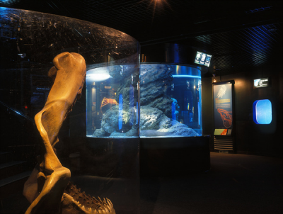 其他.韩国摄影师作品合集.Kim Shinwook.AQUARIUM_2006_–_SHINWOOKKIM的摄影作品-10006