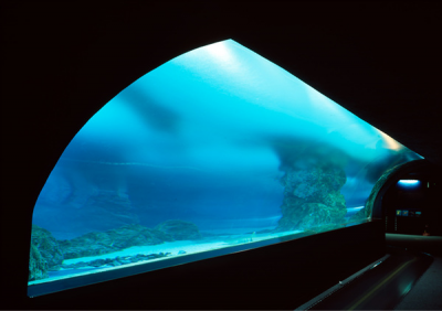 其他.韩国摄影师作品合集.Kim Shinwook.AQUARIUM_2006_–_SHINWOOKKIM的摄影作品-10007