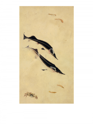其他.韩国摄影师作品合集.Kim Shinwook.EH_HAE_DOE,_어해도_2007_–_SHINWOOKKIM的摄影作品-10006