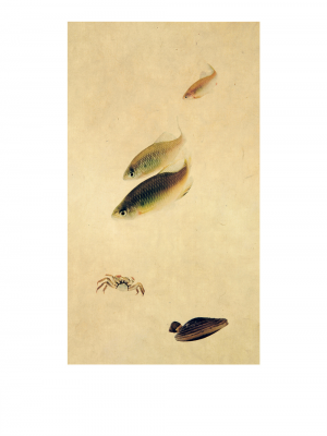 其他.韩国摄影师作品合集.Kim Shinwook.EH_HAE_DOE,_어해도_2007_–_SHINWOOKKIM的摄影作品-10007