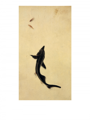其他.韩国摄影师作品合集.Kim Shinwook.EH_HAE_DOE,_어해도_2007_–_SHINWOOKKIM的摄影作品-10008