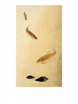 其他.韩国摄影师作品合集.Kim Shinwook.EH_HAE_DOE,_어해도_2007_–_SHINWOOKKIM的摄影作品-10009