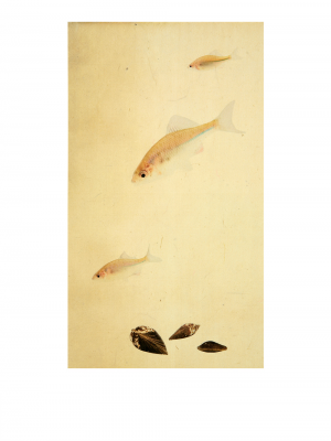其他.韩国摄影师作品合集.Kim Shinwook.EH_HAE_DOE,_어해도_2007_–_SHINWOOKKIM的摄影作品-10010