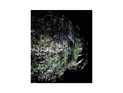 其他.韩国摄影师作品合集.Kim Shinwook.GRASS_MESSENGER_2013_–_SHINWOOKKIM的摄影作品-10002