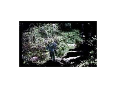 其他.韩国摄影师作品合集.Kim Shinwook.GRASS_MESSENGER_2013_–_SHINWOOKKIM的摄影作品-10004