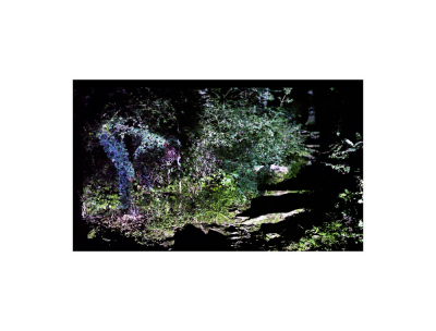 其他.韩国摄影师作品合集.Kim Shinwook.GRASS_MESSENGER_2013_–_SHINWOOKKIM的摄影作品-10006
