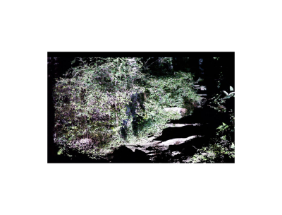 其他.韩国摄影师作品合集.Kim Shinwook.GRASS_MESSENGER_2013_–_SHINWOOKKIM的摄影作品-10007