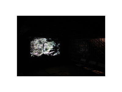 其他.韩国摄影师作品合集.Kim Shinwook.GRASS_MESSENGER_2013_–_SHINWOOKKIM的摄影作品-10008