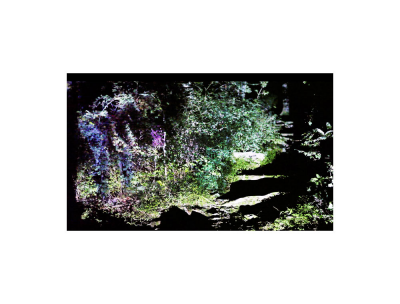 其他.韩国摄影师作品合集.Kim Shinwook.GRASS_MESSENGER_2013_–_SHINWOOKKIM的摄影作品-10009