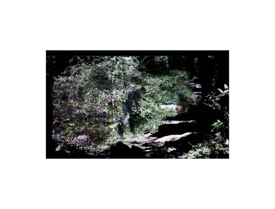 其他.韩国摄影师作品合集.Kim Shinwook.GRASS_MESSENGER_2013_–_SHINWOOKKIM的摄影作品-10010