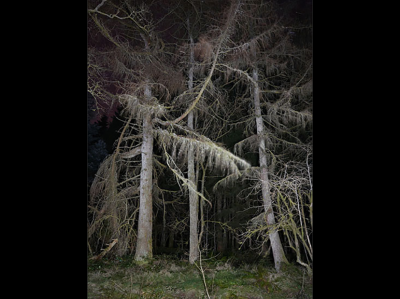 其他.韩国摄影师作品合集.Kim Shinwook.THE_NIGHT_WATCH_2011-2017_–_SHINWOOKKIM的摄影作品-10008
