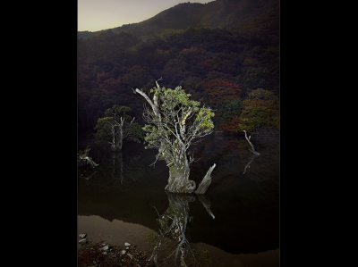 其他.韩国摄影师作品合集.Kim Shinwook.THE_NIGHT_WATCH_2011-2017_–_SHINWOOKKIM的摄影作品-10009