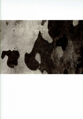其他.韩国摄影师作品合集.Kim Shinwook.树_2005_–_Shinwookim的摄影作品-10006