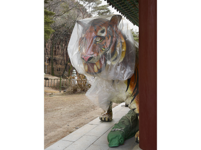其他.韩国摄影师作品合集.Kim Shinwook.脱离的心态_2021-_–_Shinwookkim的摄影作品-10007