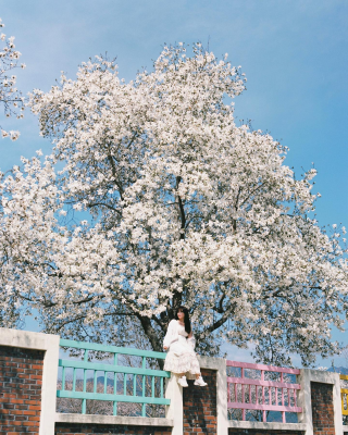 其他.韩国摄影师作品合集.kung_pic的摄影作品-10010