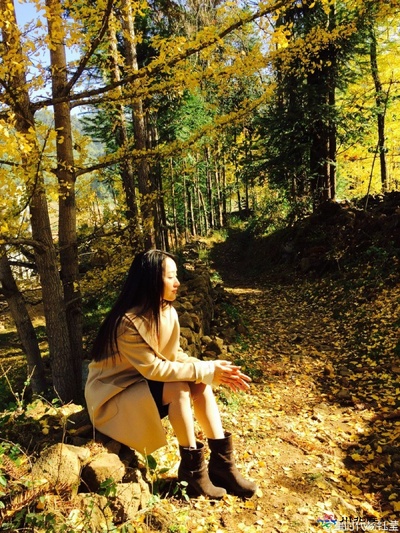 杨钰莹的写真-杨钰莹变身文艺女青年