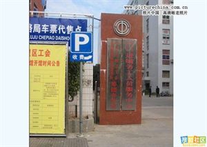 杨钰莹的写真-[赖文峰和杨钰莹] 杨钰莹 自述与赖文峰(赖昌星侄子)的