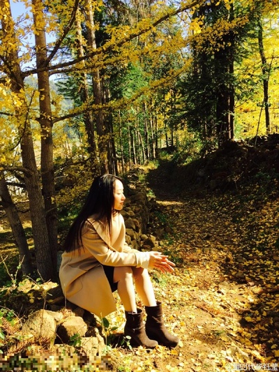 杨钰莹的写真-43岁杨钰莹赏落叶变文青
