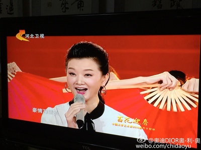 宋祖英的写真-宋祖英文联百花迎春音乐会地方台重播没有了是真的吗
