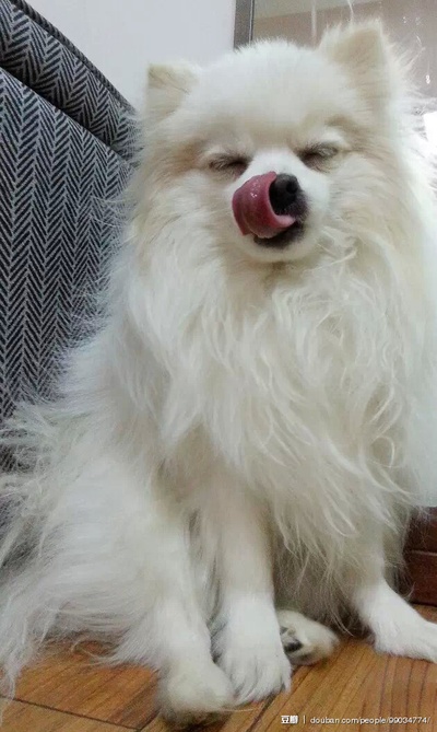 李依的写真