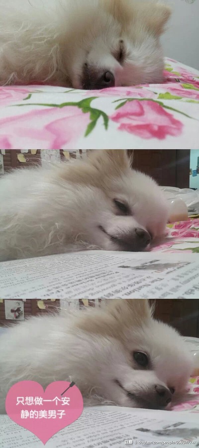 李依的写真