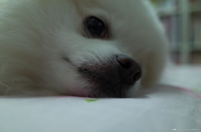 李依的写真