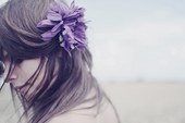 夏花的写真
