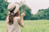 夏花的写真