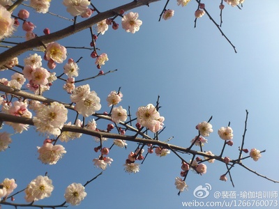 裴蓓的写真-裴蓓王朱筱寅婚礼  裴蓓 和老公生活照