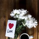 早上好(Good Morning)