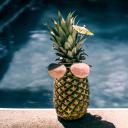 果实(Fruit)