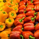 蔬菜(Vegetables)