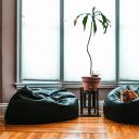 客厅(Living room)
