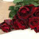 玫瑰(Rose)