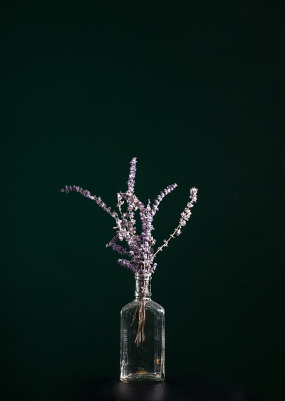 紫色的图片-克莱尔玻璃瓶里的薰衣草