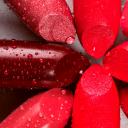 唇膏(Lipstick)