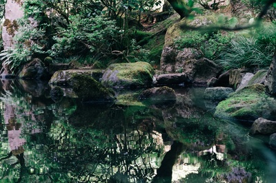 池塘的图片-宁静禅园池塘