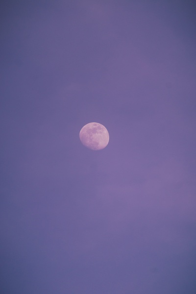 空间的图片-白月紫夜空