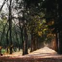 路径(Path)