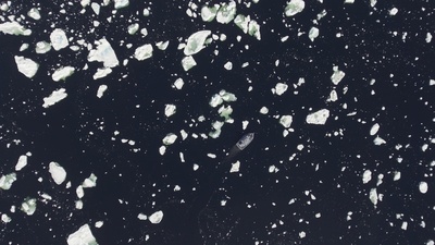 冬的图片-海水中的冰