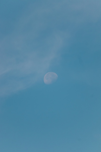 空间的图片-月影朦胧
