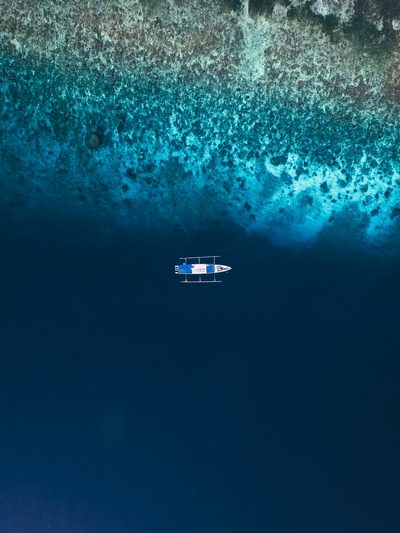 海洋的图片