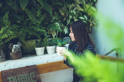 人与植物的图片-女人拿着白泥壶，绿色的植物坐在白漆墙旁。