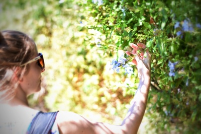 人与植物的图片-拿着植物叶子的女人