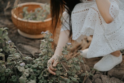 人与植物的图片-穿白衣服拿绿叶的人