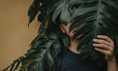 人与植物的图片-叶子边男孩的照片