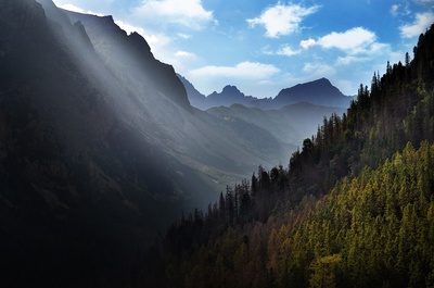 穆迪森林的图片-天山景